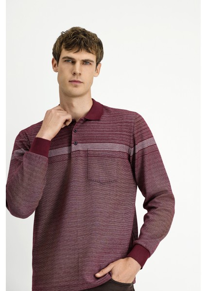 Polo Yaka Regular Fit Çizgili Sweatshirt