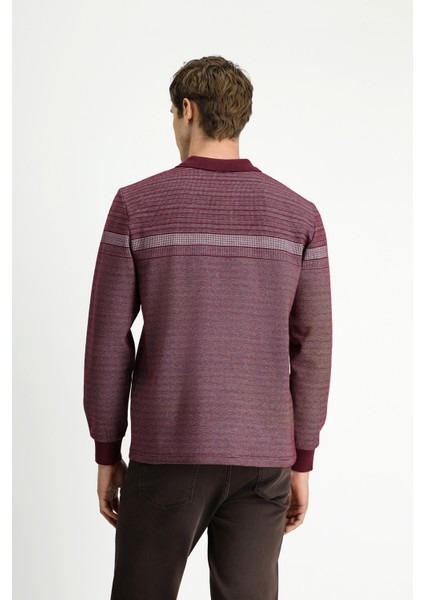 Polo Yaka Regular Fit Çizgili Sweatshirt