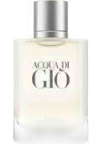 Acqua Di Gio Profumo 100 ml Erkek