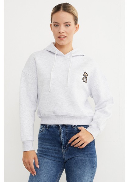 3 Iplik Ayıcık Nakışlı Kapüşonlu Sweatshirt modelleri