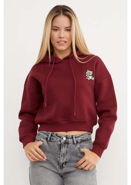 3 Iplik Ayıcık Nakışlı Kapüşonlu Sweatshirt