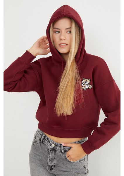 3 Iplik Ayıcık Nakışlı Kapüşonlu Sweatshirt fırsatları