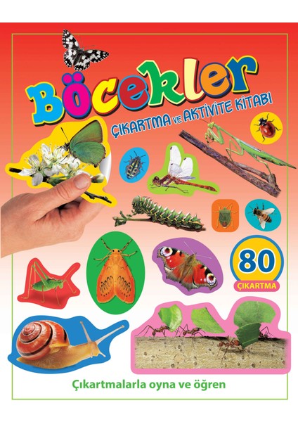 Böcekler - Çıkartma ve Aktivite Kitabı