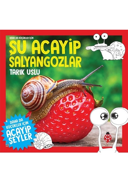 Daha Küçükler Için Şu Acayip Salyangozlar