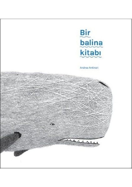 Bir Balina Kitabı
