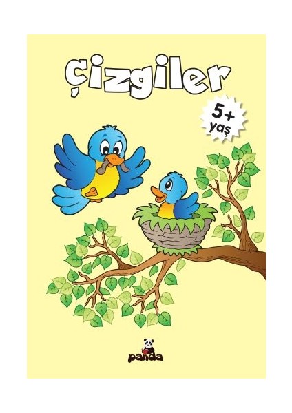 Çizgiler 5 Yaş