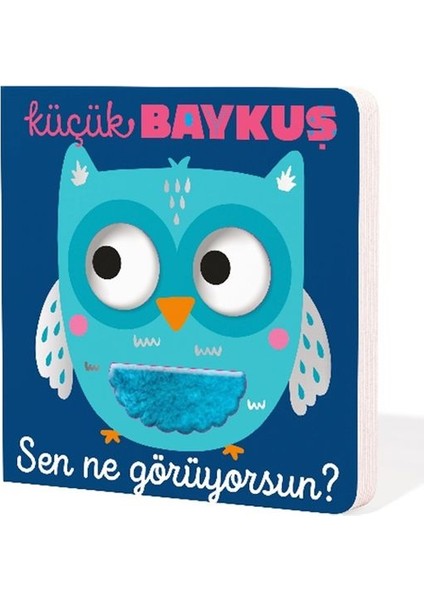 Küçük Baykuş Sen Ne Görüyorsun?