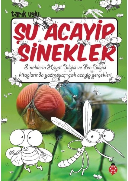 Şu Acayip Sinekler
