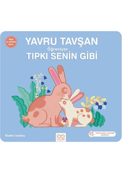 Yavru Tavşan Öğreniyor Tıpkı Senin Gibi