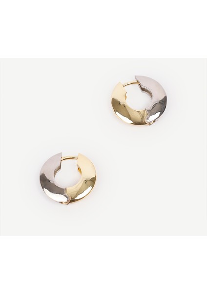 Gold ve Silver Detaylı Halka Küpe fiyatları