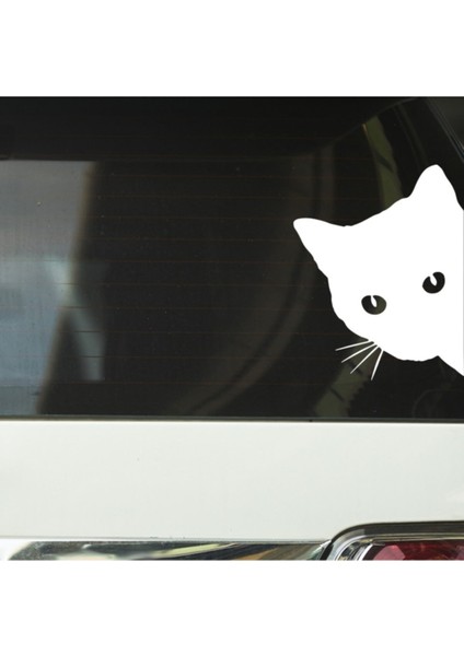 Kenardan Bakan Kedi Tasarımlı Oto Özel Yeni Stickeri Beyaz 18*14 cm