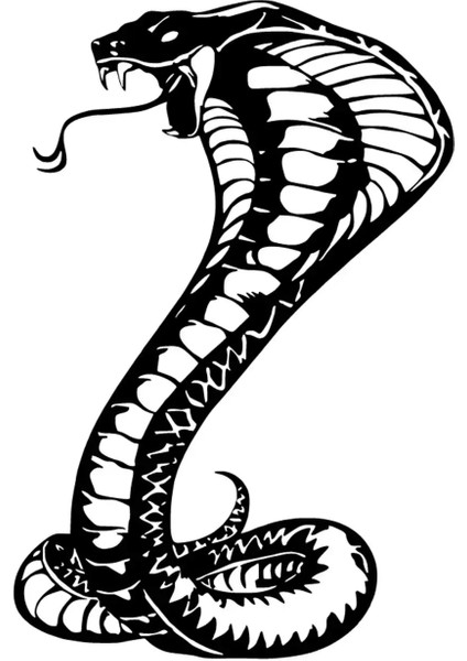 Sinirli Kobra Yılanı Oto Özel Yeni Sticker Siyah 25 x 37 cm