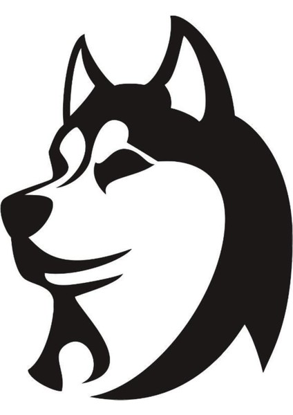 Kurt Oto Özel Yeni Sticker 25 x 32 cm