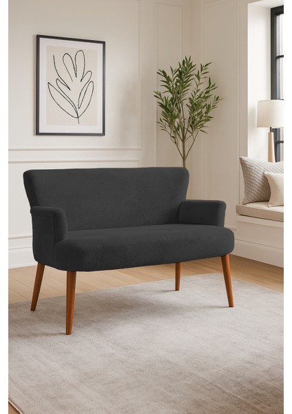 - Roma Modern Ikili Koltuk Kanepe - Welsoft Yumuşak Kumaş - Ahşap Ayak - Antrasit