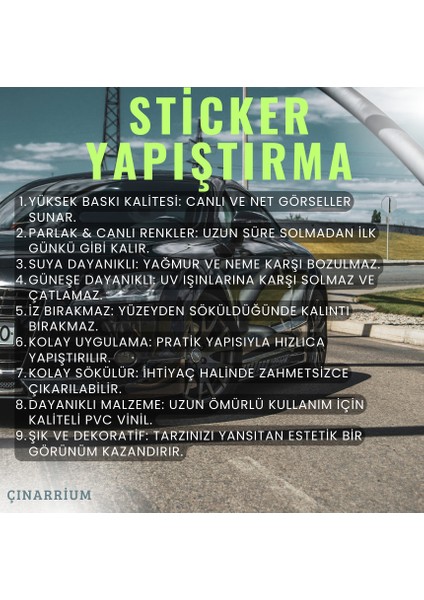 Avcı Kartal Oto Özel Yeni Sticker Siyah 20 x 30 cm fiyatları