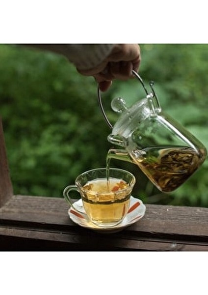 El Yapımı Yeşil Çay 100 gr Doğal Antioksidan ve Ferahlatıcı İçecek modelleri