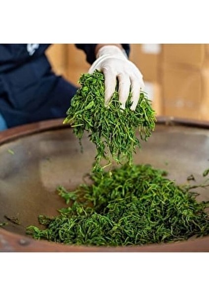 El Yapımı Yeşil Çay 100 gr Doğal Antioksidan ve Ferahlatıcı İçecek indirimleri