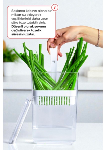 Süzgeçli Yeşillik Saklama Kabı 2,9 Litre modelleri