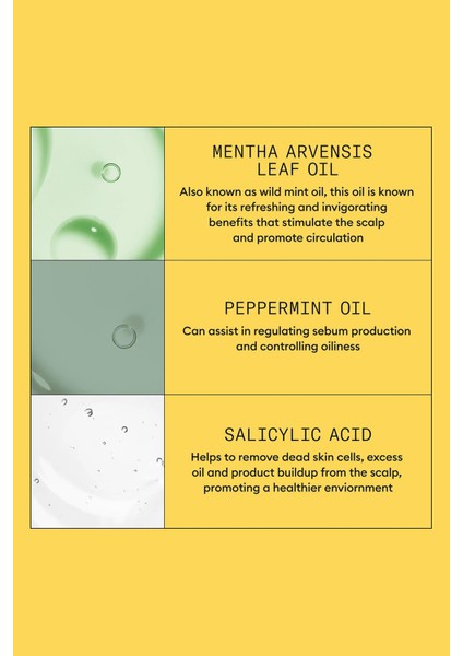 System 1 Şampuan - Işlem Görmemiş Hafif Ince Saçlar Için Kalınlaştırıcı Bakım 300ML fırsatları