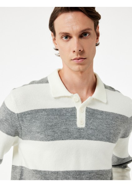 Regular Fit Uzun Kollu Polo Yaka Triko Kazak