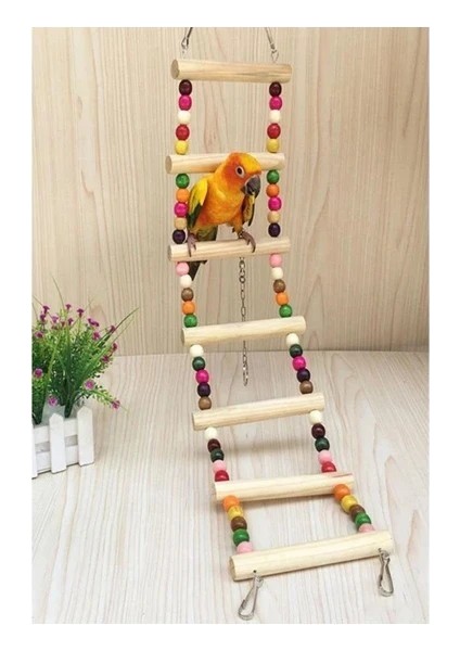 Kabuklu Muhabbet Yemi 500GR