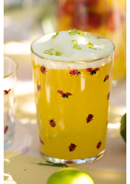 Lady Bird 4'lü Meşrubat Bardağı Seti 510 cc