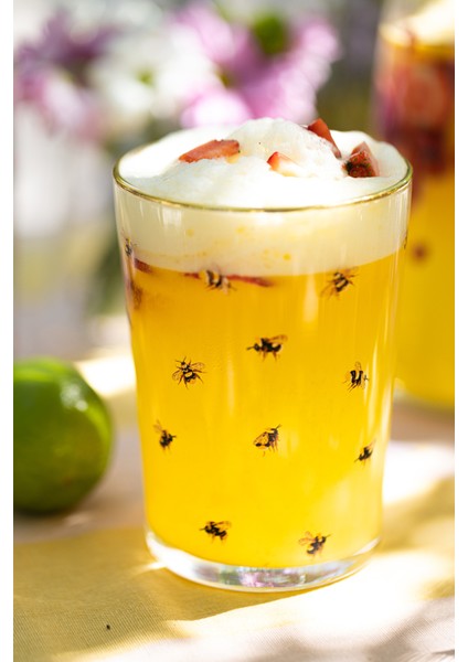 Lady Bird 4'lü Meşrubat Bardağı Seti 510 cc fiyatları