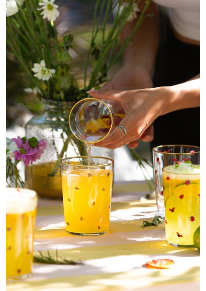 Lady Bird 4'lü Meşrubat Bardağı Seti 510 cc modelleri