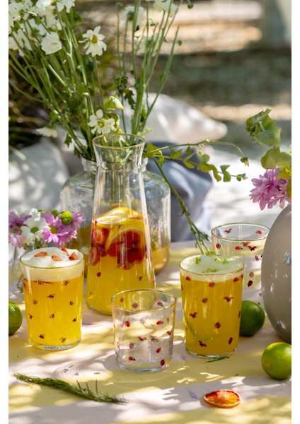 Lady Bird 4'lü Meşrubat Bardağı Seti 510 cc indirimleri