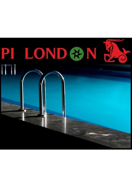 Havuz Merdiveni 4 Basamaklı Muro Tip Aısı 304 fiyatları