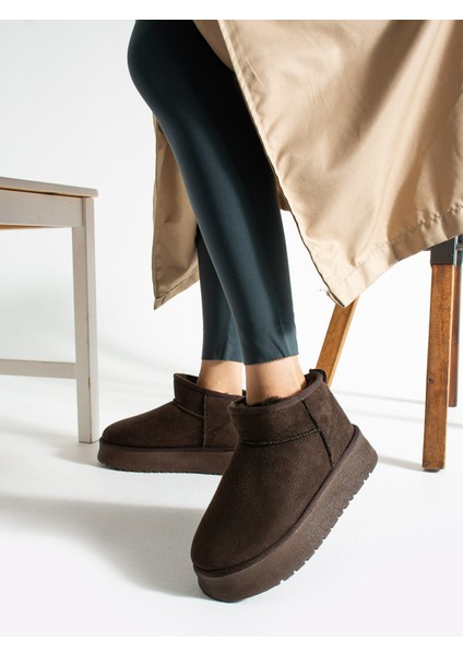 Nubuk Bot fiyatları