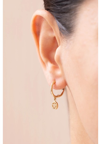 Taşlı Charm Sallantılı 14 Ayar Altın Küpe