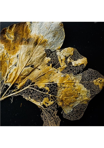 :temperli Cam Kare Tablo, Cam Tablo, Uv Baskı, CTT014