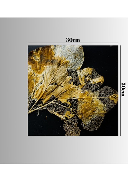 :temperli Cam Kare Tablo, Cam Tablo, Uv Baskı, CTT014