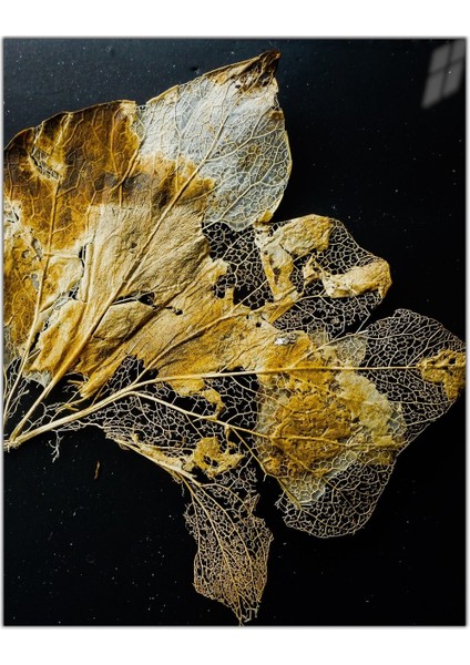 :temperli Cam Dikdörtgen Tablo, Cam Tablo, Uv Baskı, CTT014