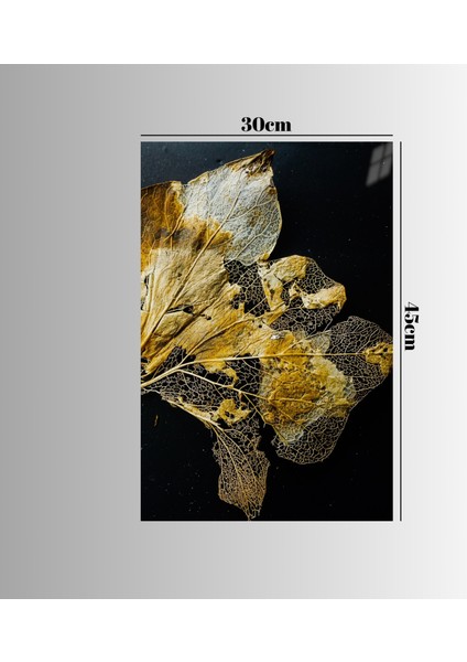 :temperli Cam Dikdörtgen Tablo, Cam Tablo, Uv Baskı, CTT014