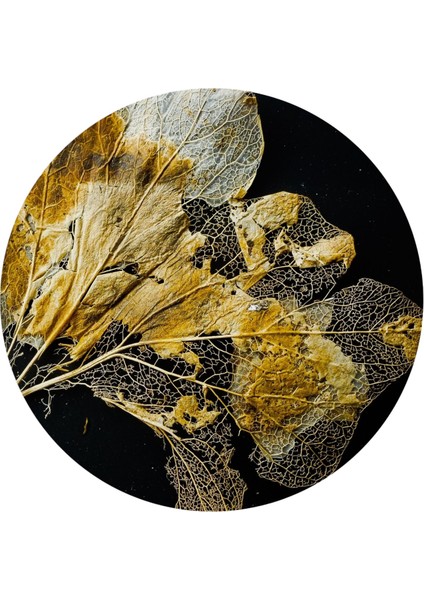 :temperli Cam Daire Tablo, Cam Tablo, Uv Baskı, CTT014