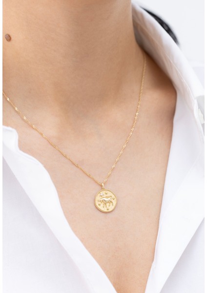 Vintage Boğa Burcu 14 Ayar Altın Kolye fiyatları