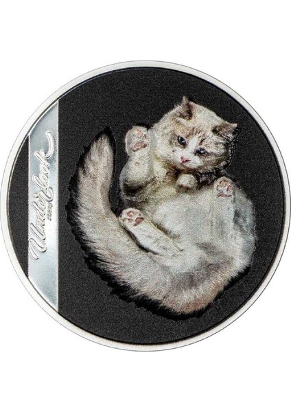 Beyaz Kedi 2024 Gümüş Sikke Coin