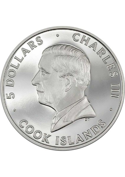 Beyaz Kedi 2024 Gümüş Sikke Coin