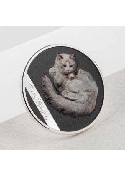 Beyaz Kedi 2024 Gümüş Sikke Coin