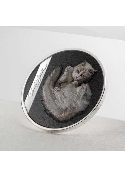 Beyaz Kedi 2024 Gümüş Sikke Coin