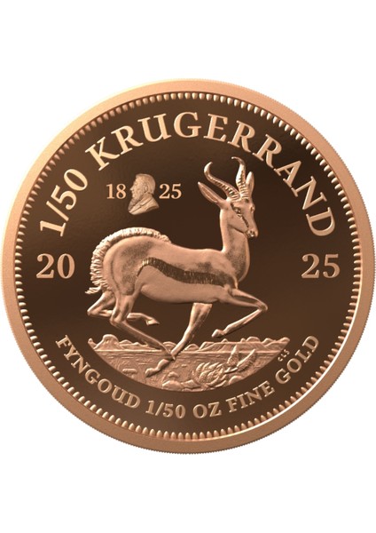 Agakulche Krugerrand 2025 Altın Sikke Coin