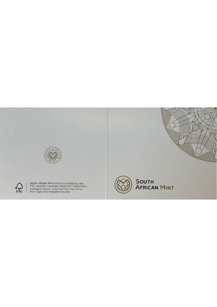 Agakulche Krugerrand 2025 Altın Sikke Coin