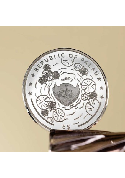 Yusufçuk Gümüş Sikke Coin