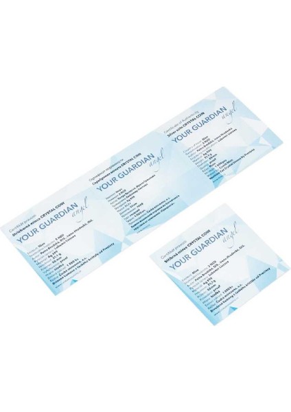 AgaKulche Koruyucu Melek Gümüş Sikke Coin