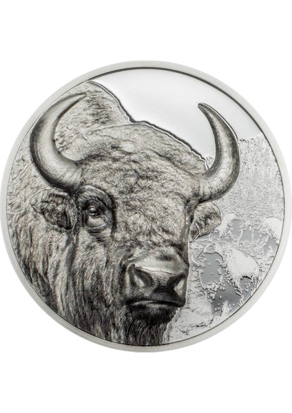 Agakulche Moğolistan Bizonu Gümüş Sikke Coin