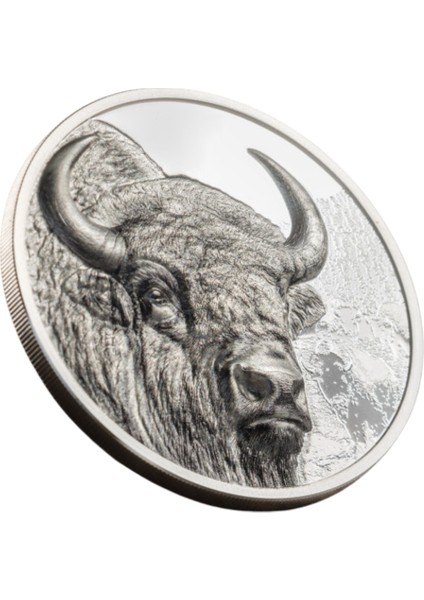 Agakulche Moğolistan Bizonu Gümüş Sikke Coin