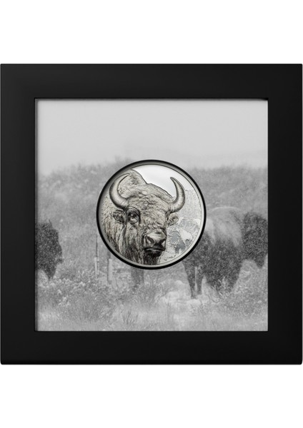 Agakulche Moğolistan Bizonu Gümüş Sikke Coin