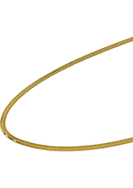 Agakulche Italyan Ezme Balık Sırtı 2,5 mm Altın Zincir